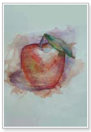 morfes, τμήμα portfolio